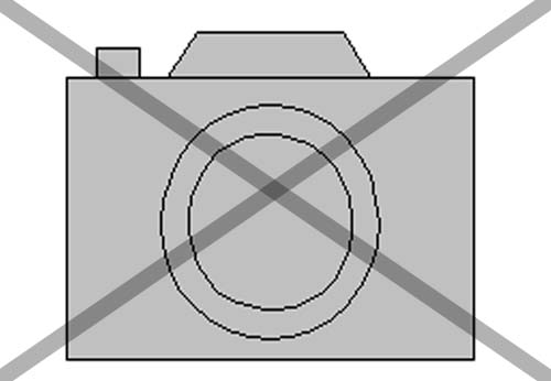 phoenix_alies_sanctuary (20)
