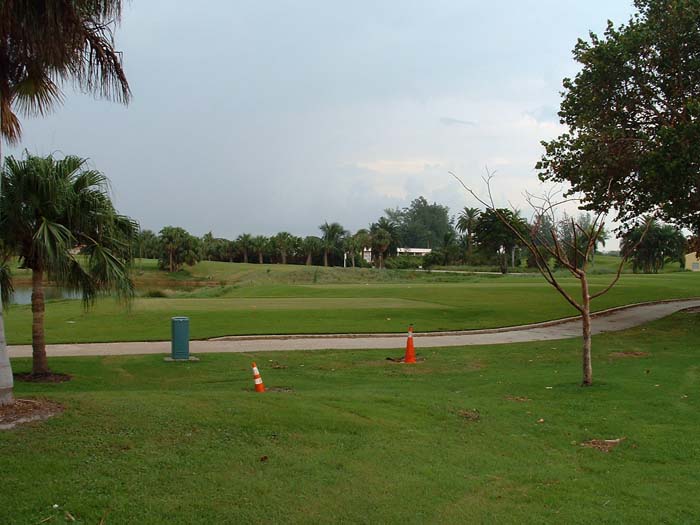 miami_odd_photos (15)