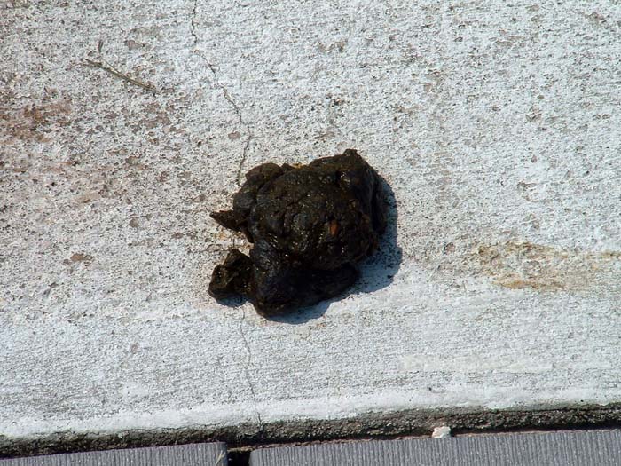 miami_odd_photos (6)