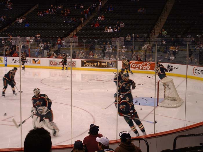 minneapolis_the_hockey (3)