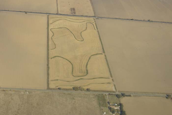 scramento-houston_flight (1)