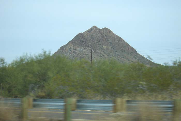 phoenix_alies_sanctuary (12)