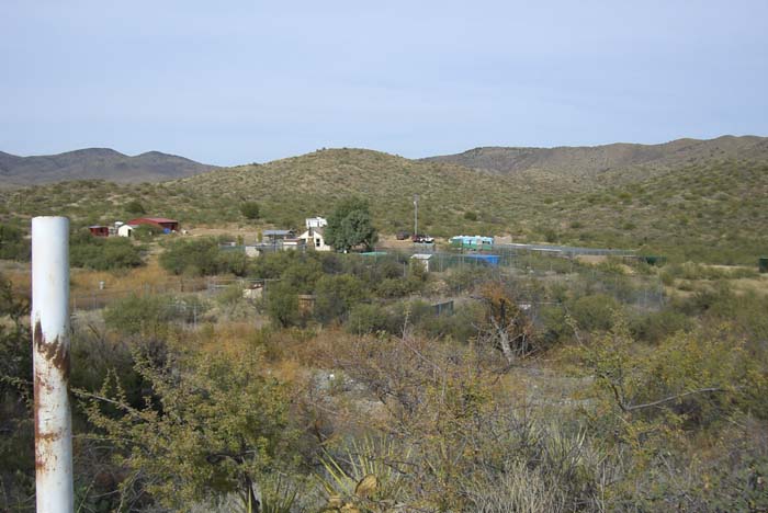 phoenix_alies_sanctuary (15)