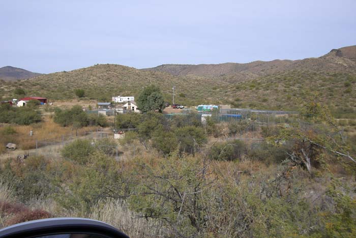 phoenix_alies_sanctuary (16)