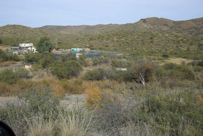 phoenix_alies_sanctuary (18)