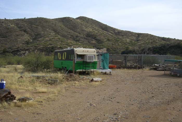 phoenix_alies_sanctuary (21)