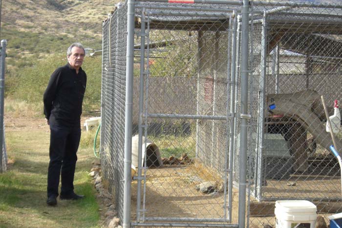 phoenix_alies_sanctuary (22)