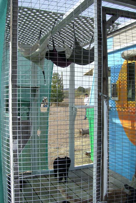 phoenix_alies_sanctuary (26)