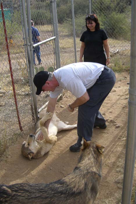 phoenix_alies_sanctuary (45)