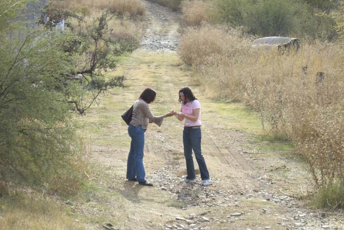 phoenix_alies_sanctuary (51)