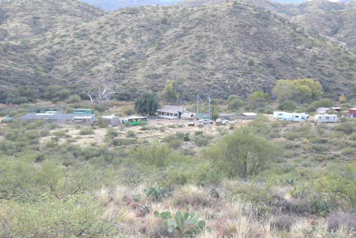 phoenix_alies_sanctuary (64)