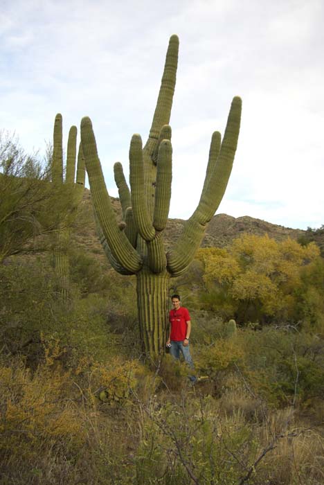 phoenix_alies_sanctuary (73)