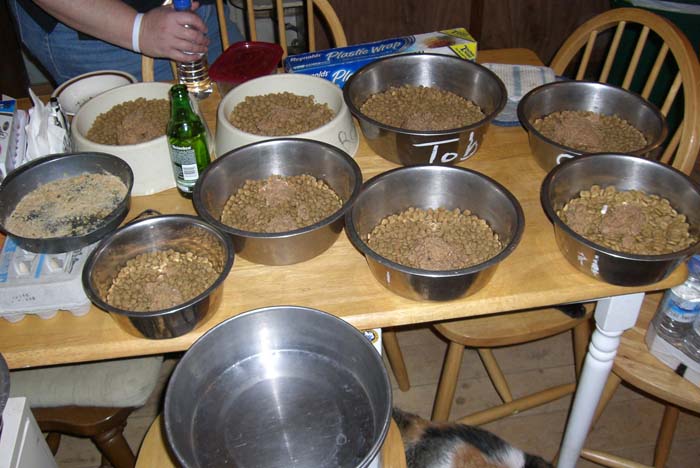 phoenix_alies_sanctuary (85)