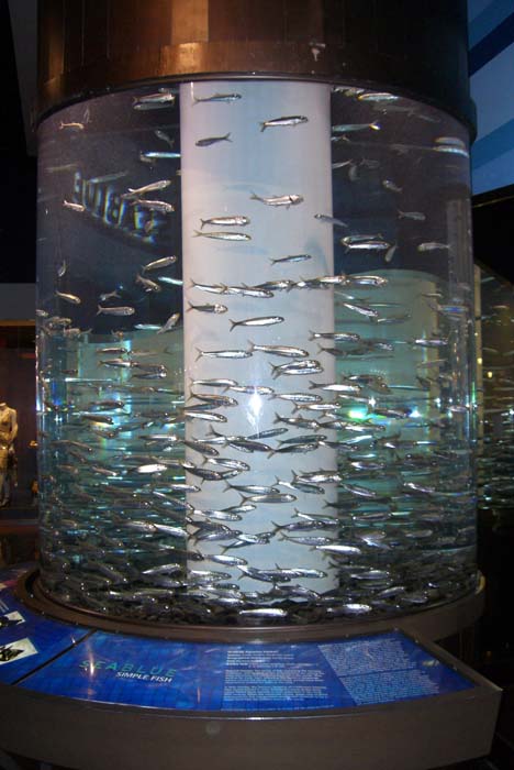 las_vegas_scenic (2)