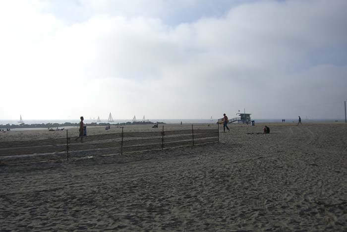 los_angeles_scenic (16)